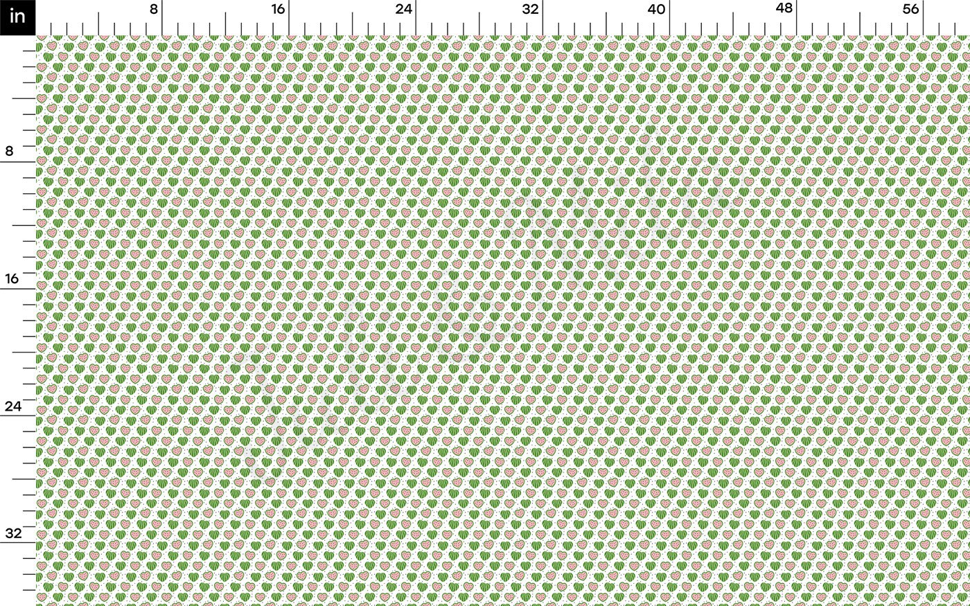 DBP Fabric Double Brushed Polyester DBP2482 Watermelon